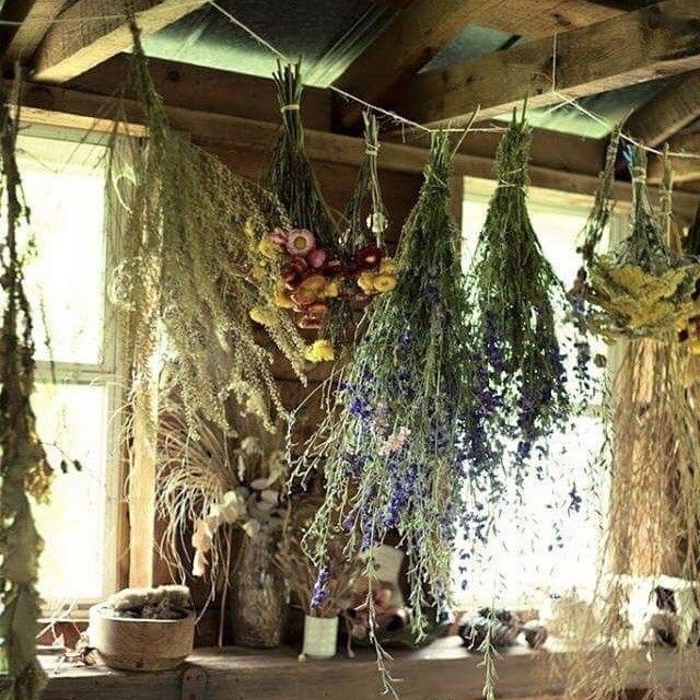 herbal witchcraft